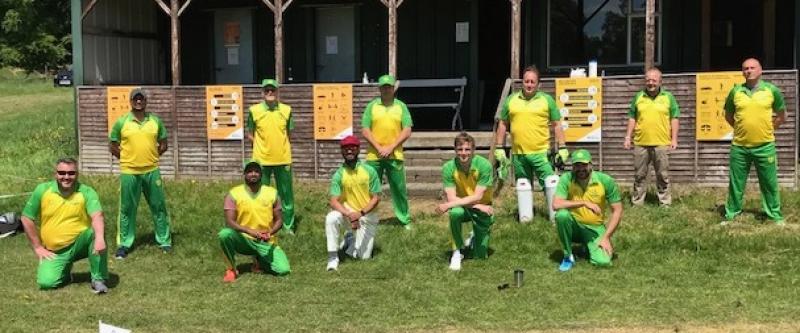 Kildare cricket: Halverstown on the march