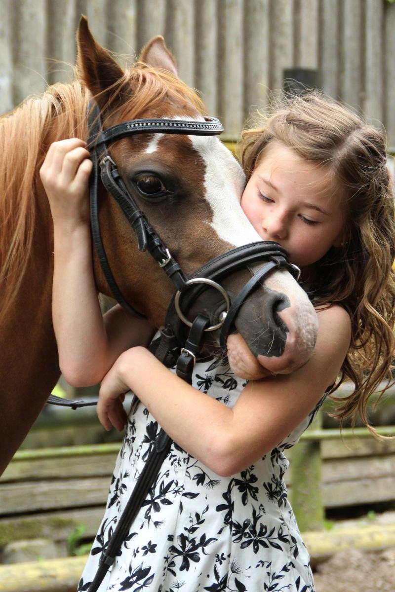 Equine Assisted Counselling can be very effective