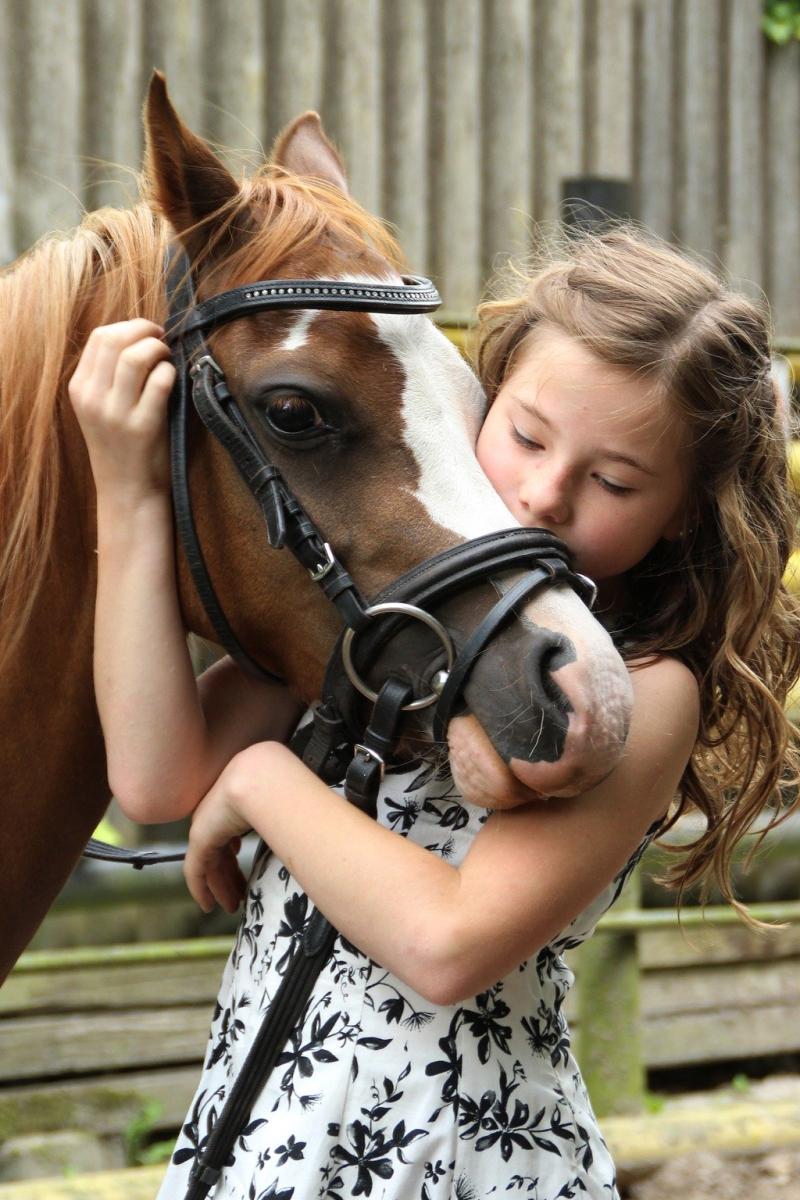 Equine Assisted Counselling can be very effective