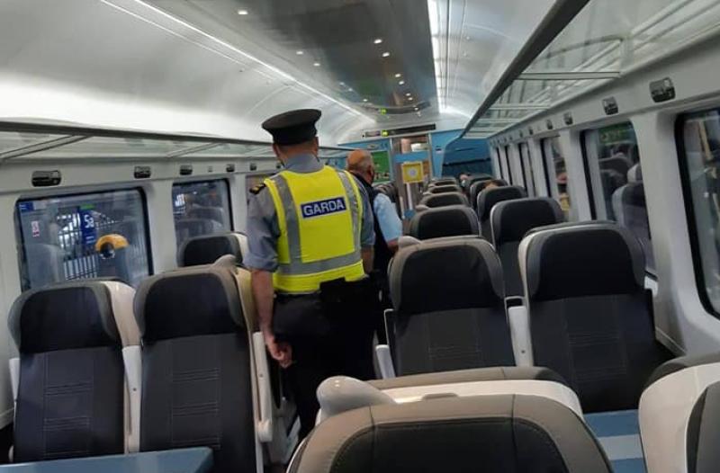 Kildare Division gardaí patrol local trains to prevent criminal behaviour 