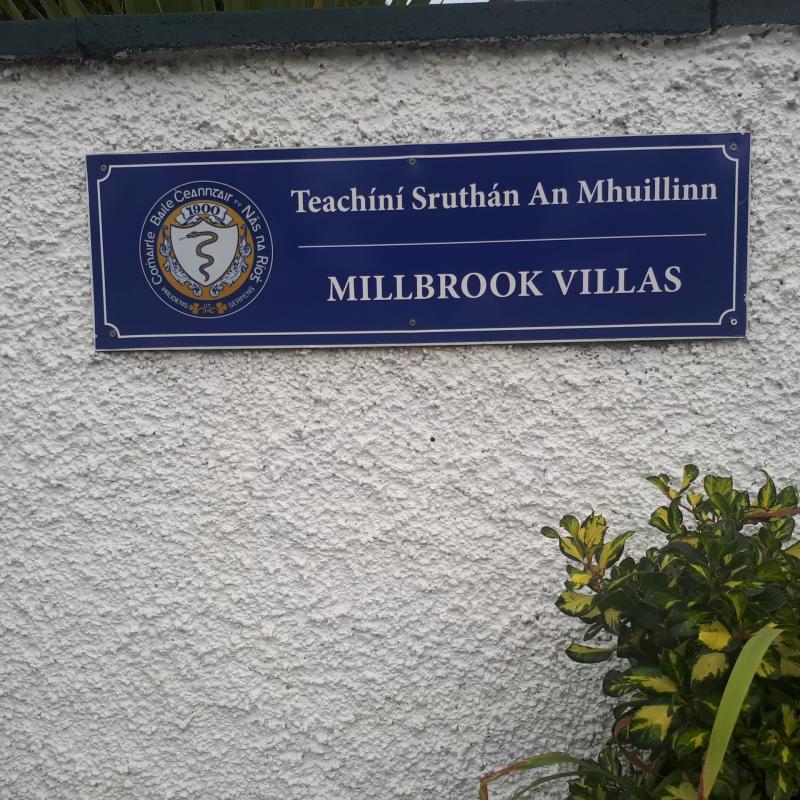 Trees 'won't fall' on Naas houses