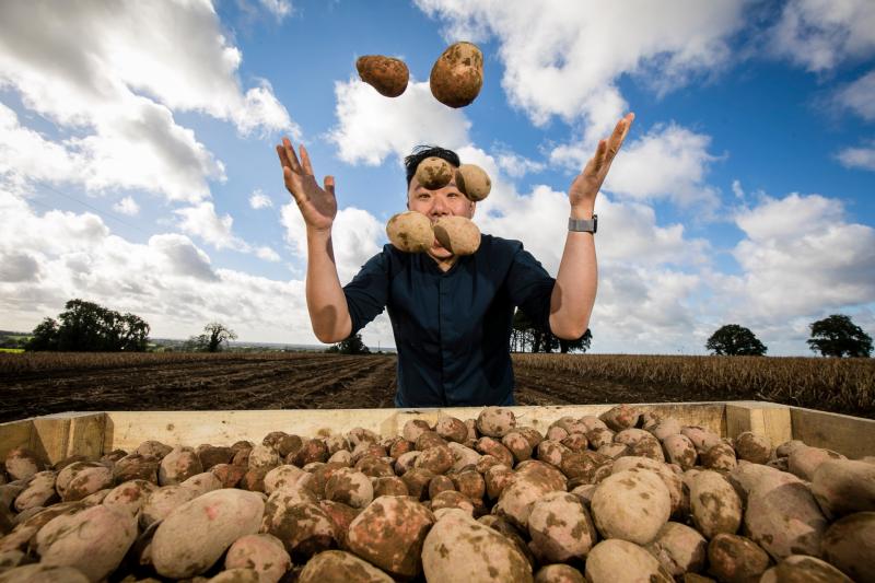 Almost 40 million Irish potatoes produced in last 12 months
