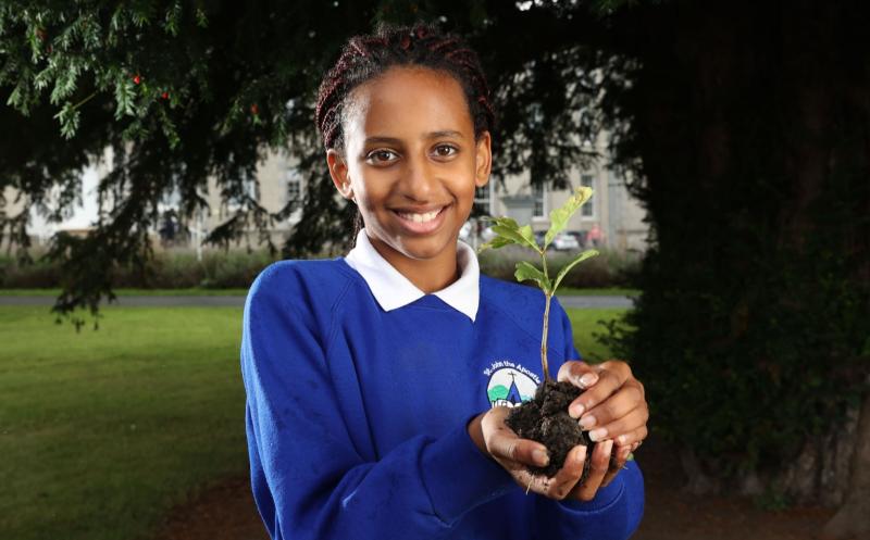 Pic Supplied: Sophie Scully (11) from Galway, pictured at Ireland&rsquo;s oldest tree