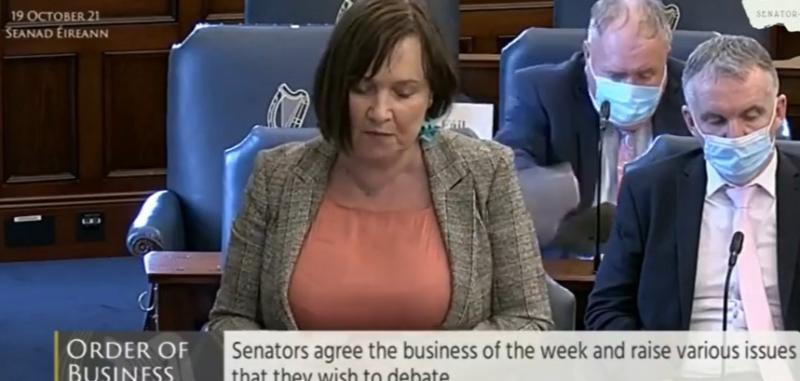 Pic: Senator Fiona O' Loughlin via Facebook, Seanad Eireann