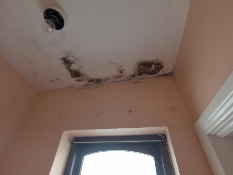 Kildare mother fears for three children with asthma in mould-infested home