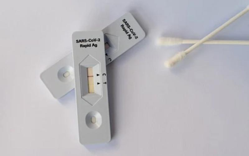 Antigen testing will be offered to primary school students by end of November