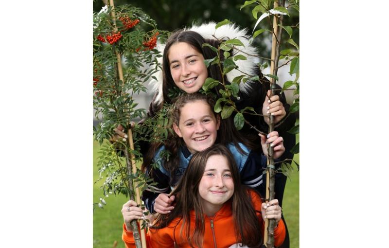 Kildare schoolchildren helping to plant thousands of trees as part of worldwide initiative  