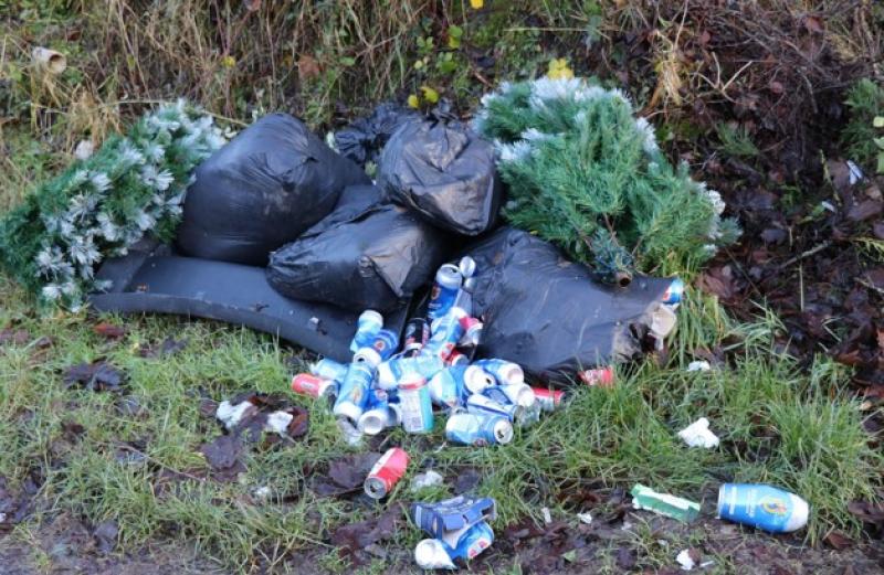 PIC: Spot by popular Kildare nature reserve spoiled by litter