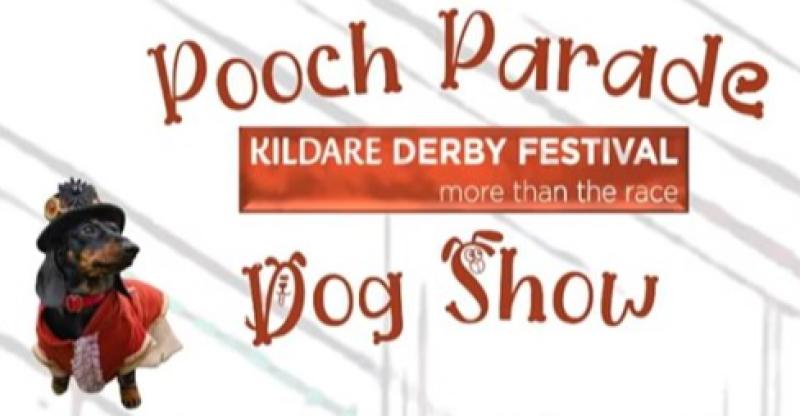 Calling all dogs to the inaugural Kildare Derby Festival Pooch Parade