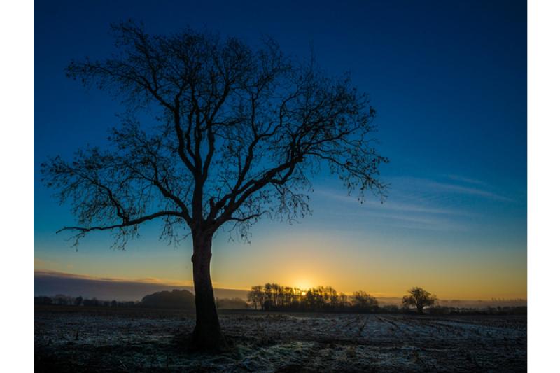 frosty-dawnNEW