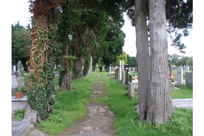 Confey Cemetery in Leixlip 