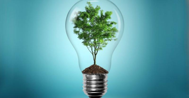 Unleash your entrepreneurial potential at Kildare’s Big Business Show