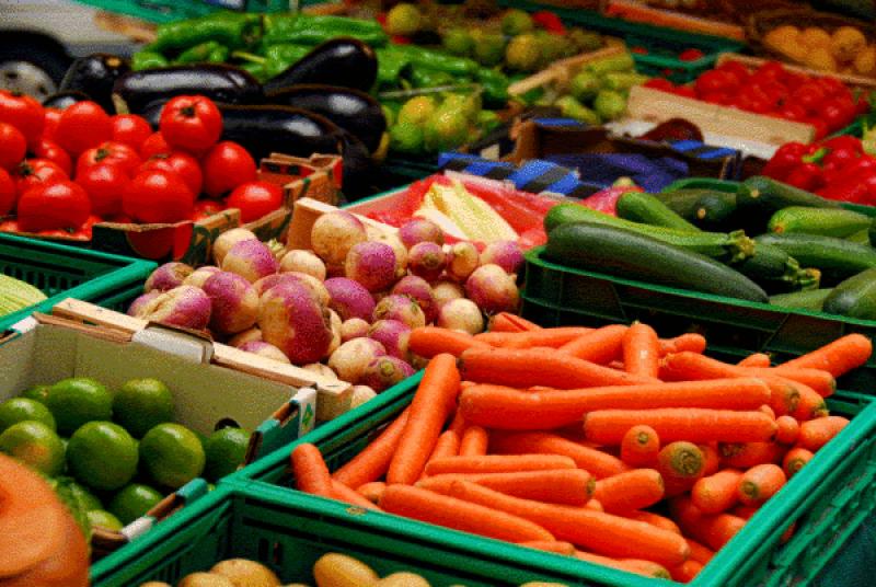 Additional funding of €830,000 approved for food hub in South Kildare