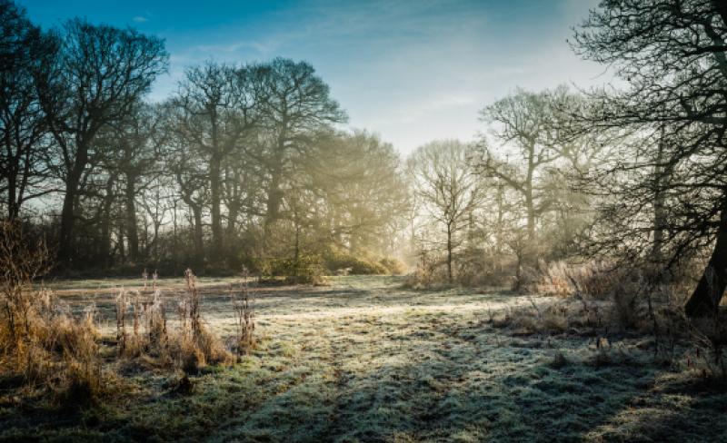 frosty-cold-weather
