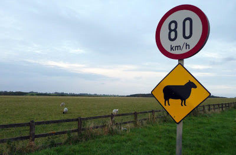 Kildare Garda&iacute; issue warning to dog owners about lambing season 