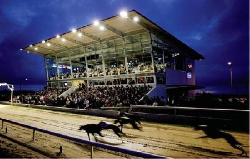 newbridge greyhound stadium