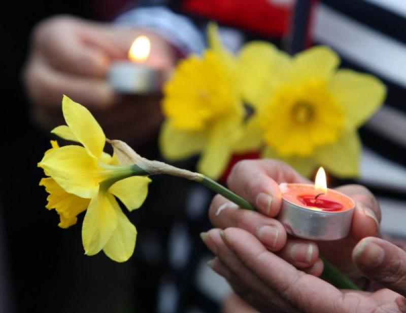 Daffodil candles