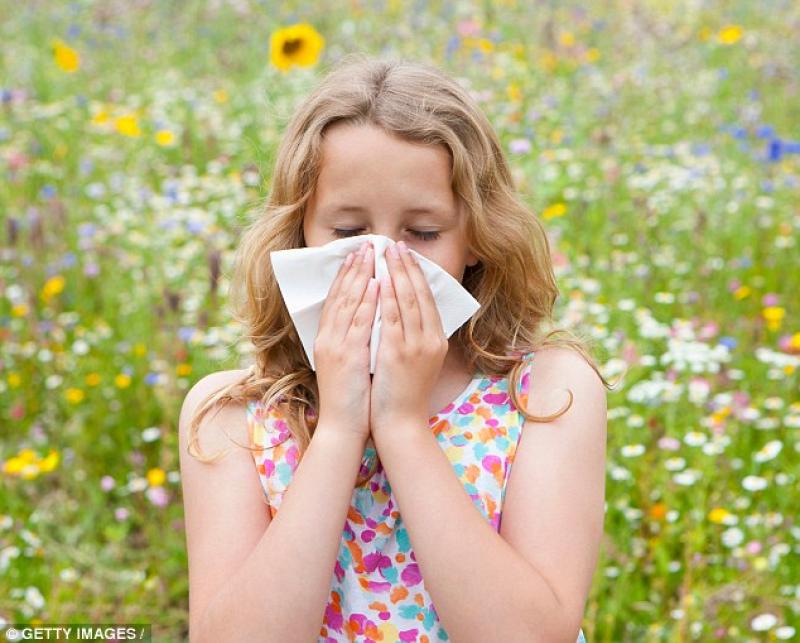 Hay fever sufferers hit with warning for next few days 