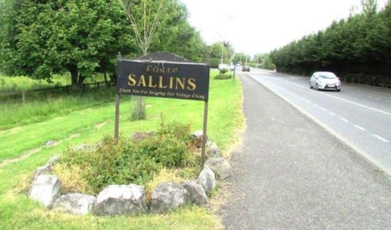 sallins tidy towns