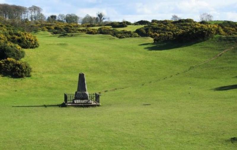 Petition launched to update engraving on famous Kildare monument