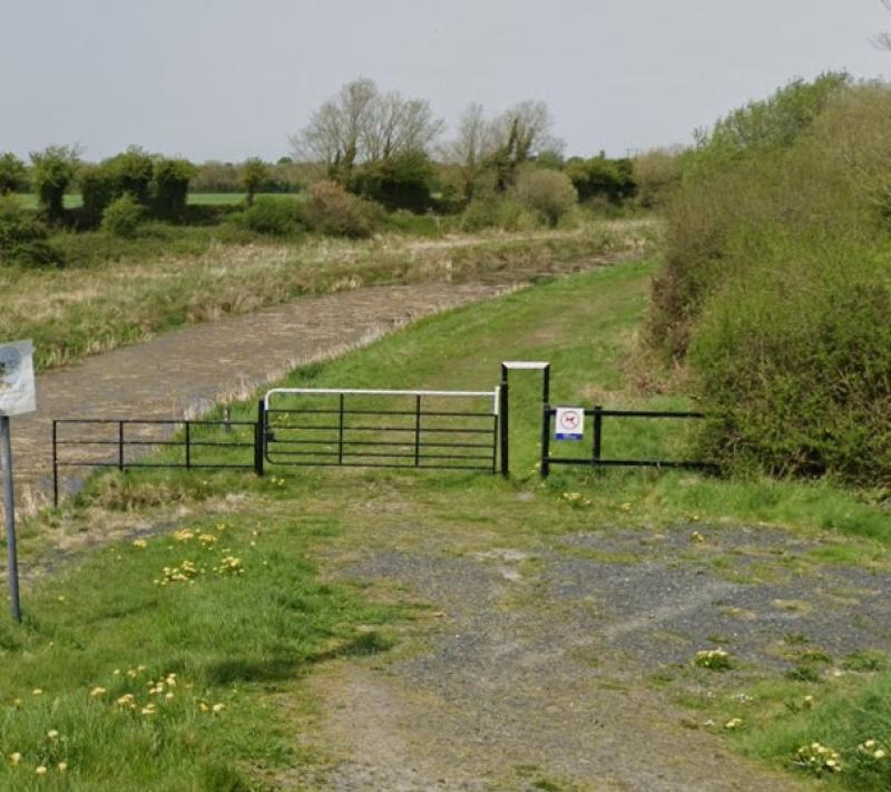 Call for buggies to access Blueway route in south Kildare 