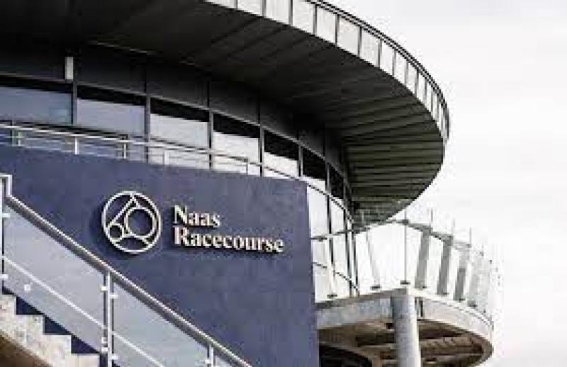 Limestone Lad Hurdle the highlight at Naas on Sunday