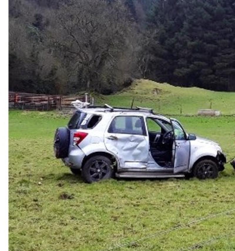 PHOTOS: Driver loses control and car ends up in field near Naas, Co Kildare