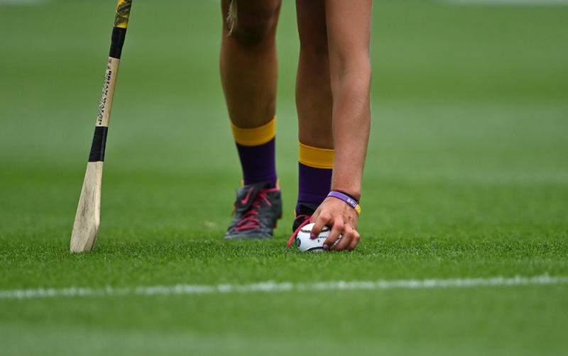 Kildare candidate successful in inaugural Leinster Camogie Coaching Academy