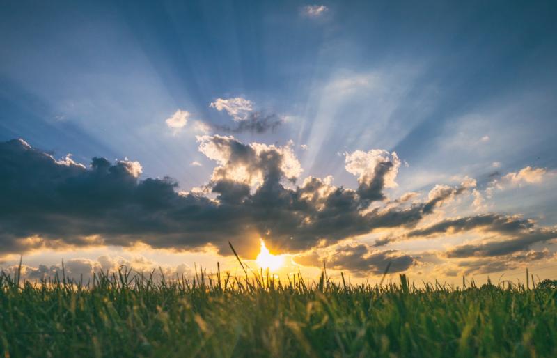 WEATHER: Good weather set to continue into middle of next week
