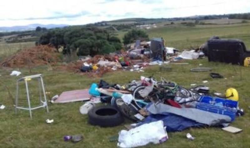 'Utterly inexcusable': Kildare Senator hits out at litter levels in south of the county
