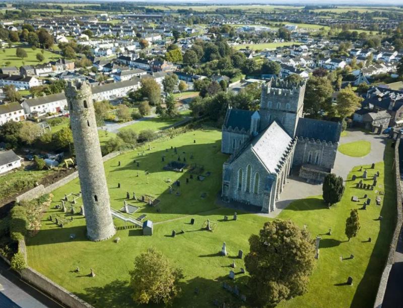 Crafty pigeon builds nest in Kildare's round tower closed for two years 