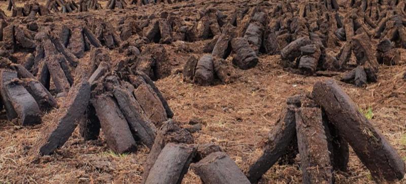 POLL: Should there be a ban on the sale of turf?