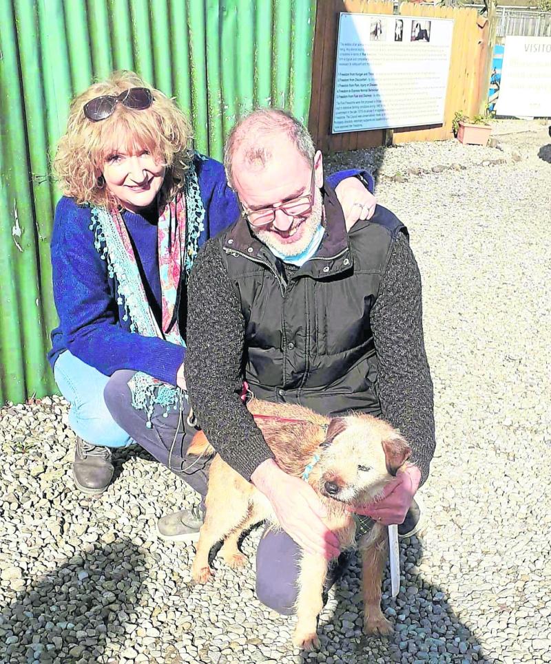 KWWPCA COLUMN: Aussie mum in labour finds missing family dog