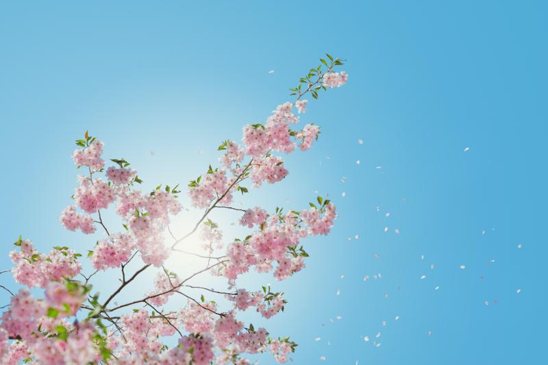 IRELAND WEATHER: Mainly dry for the weekend with temperatures hitting mid teens