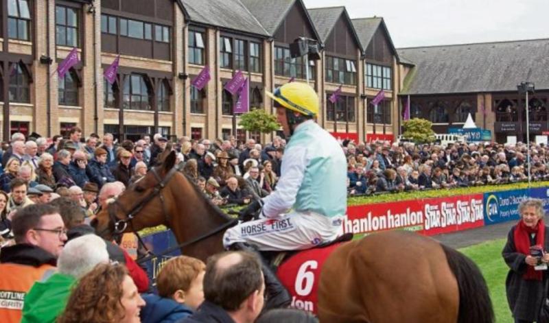 PUNCHESTOWN TIPS: All the best bets for Day 5 - Saturday, April 30 
