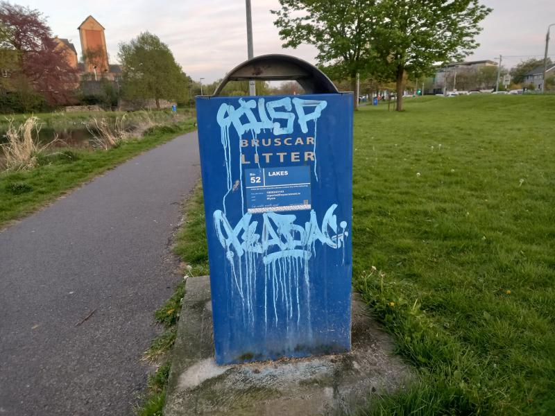 More litter bins needed in Naas, Kildare