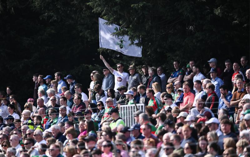 Kildare vs Mayo; Time for the lilies to bloom