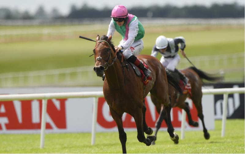 Westover wins the Dubai Duty Free Irish Derby for Ralph Beckett