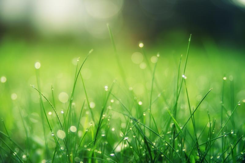 WEATHER: Mix of sunny spells and scattered showers expected for weekend ahead 