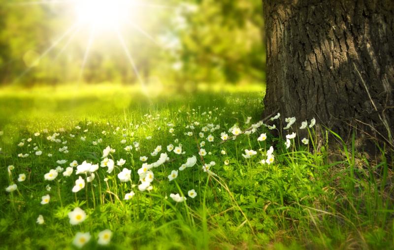 KILDARE WEATHER: Mostly dry and sunny today with temperatures hitting 22 degrees