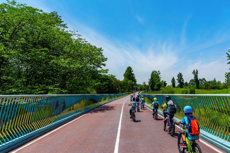 Kildare County Council launches plans for new cycle track to school in Naas 