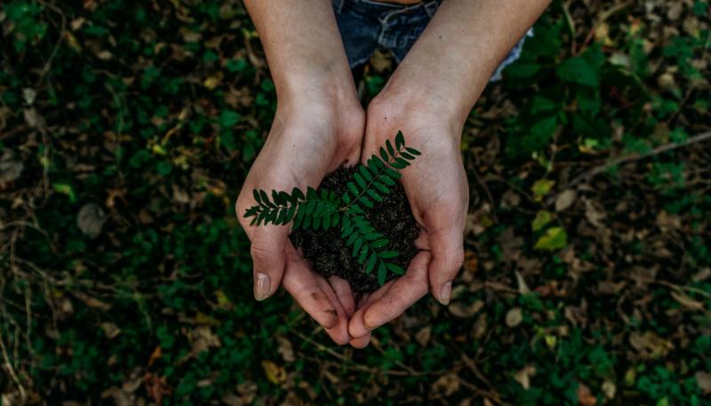 Upskilling programme to help Kildare businesses become more sustainable launches today