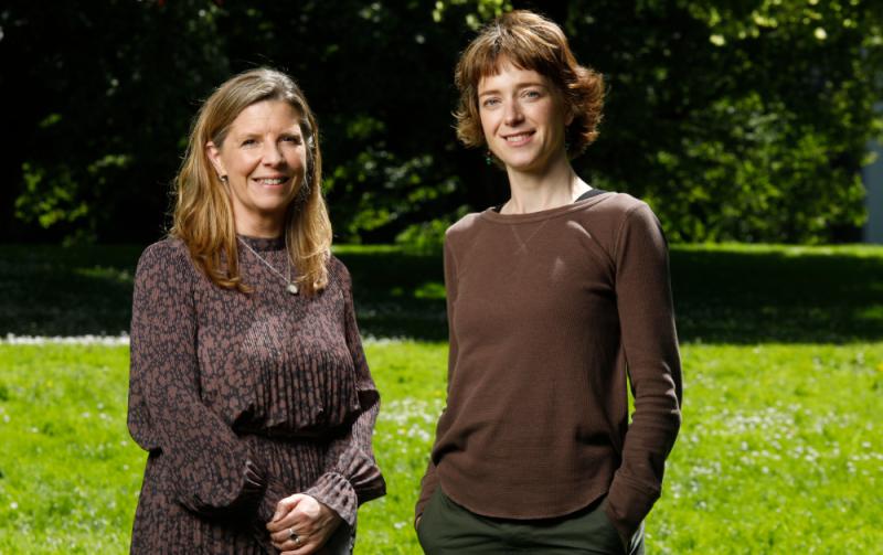 Kildare artist announced as recipient of PLATFORM 31 bursary