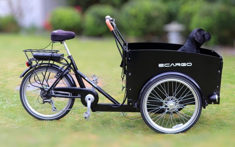 Cargo bikes may become more attractive for Kildare people with possible new government measures 