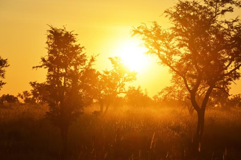 National Parks & Wildlife Service appeal to public on high fire risk warning over extreme heat