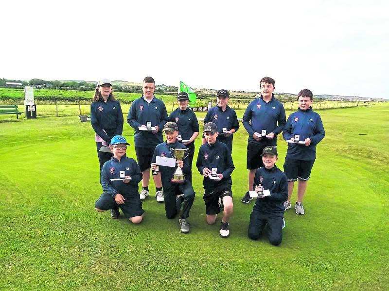 Great weekend for Kildare at Leinster pitch and putt finals
