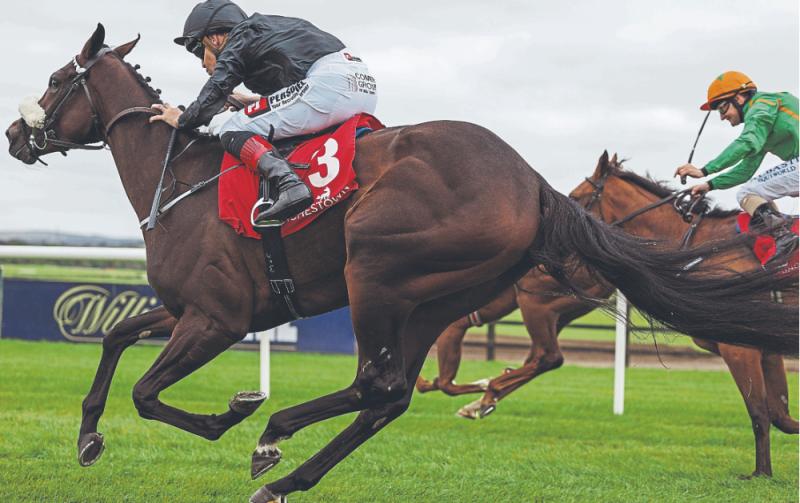 Kildare Horse Racing News: Harrington and Foley chalk up a double at Gowran Park