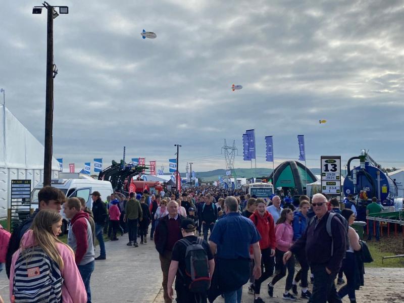 Kildare people travelling to Ploughing Championships urged to use "purple" route 