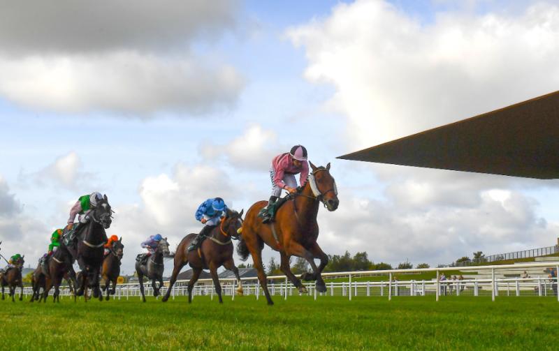 Kildare: Curragh racecourse set for huge Autumn Festival weekend