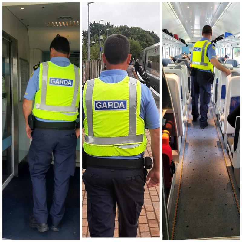 Laois Offaly Gardai board train in the midlands